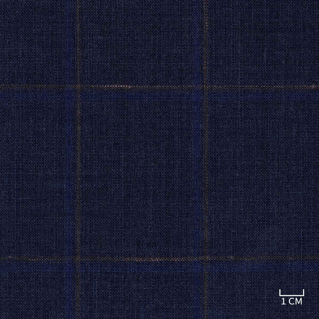 BLUE, BROWN CHECKS