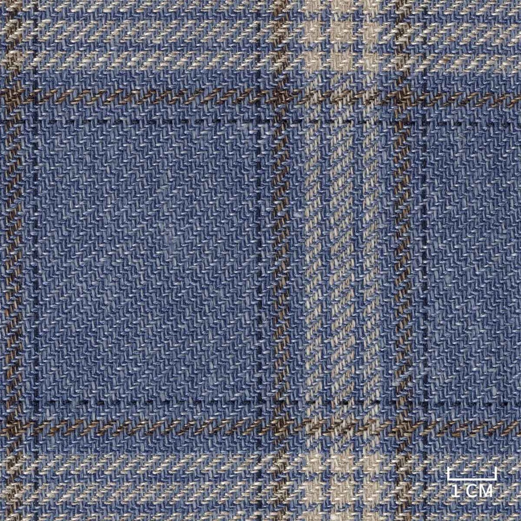 BLUE, BROWN CHECKS