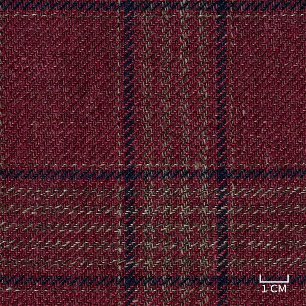 RED, BLUE CHECKS