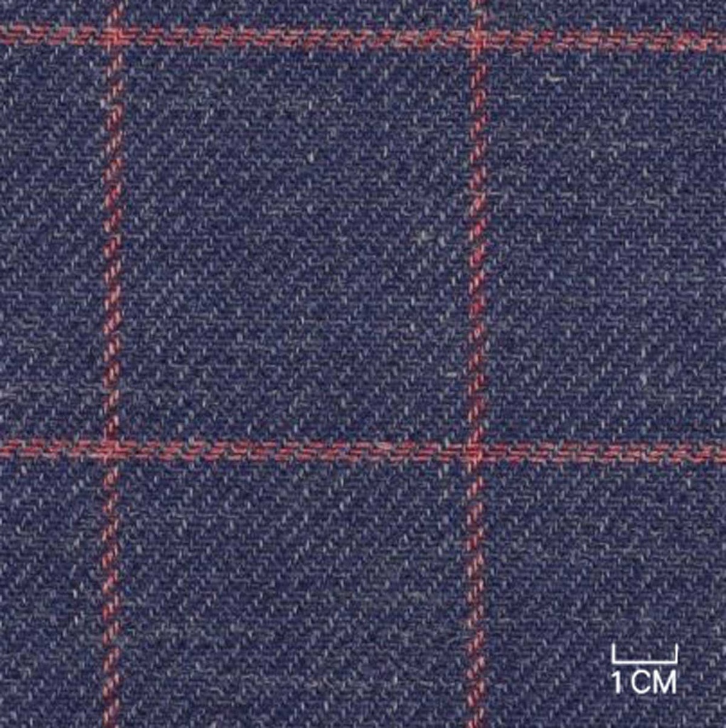 BLUE, RED CHECKS (106/21)