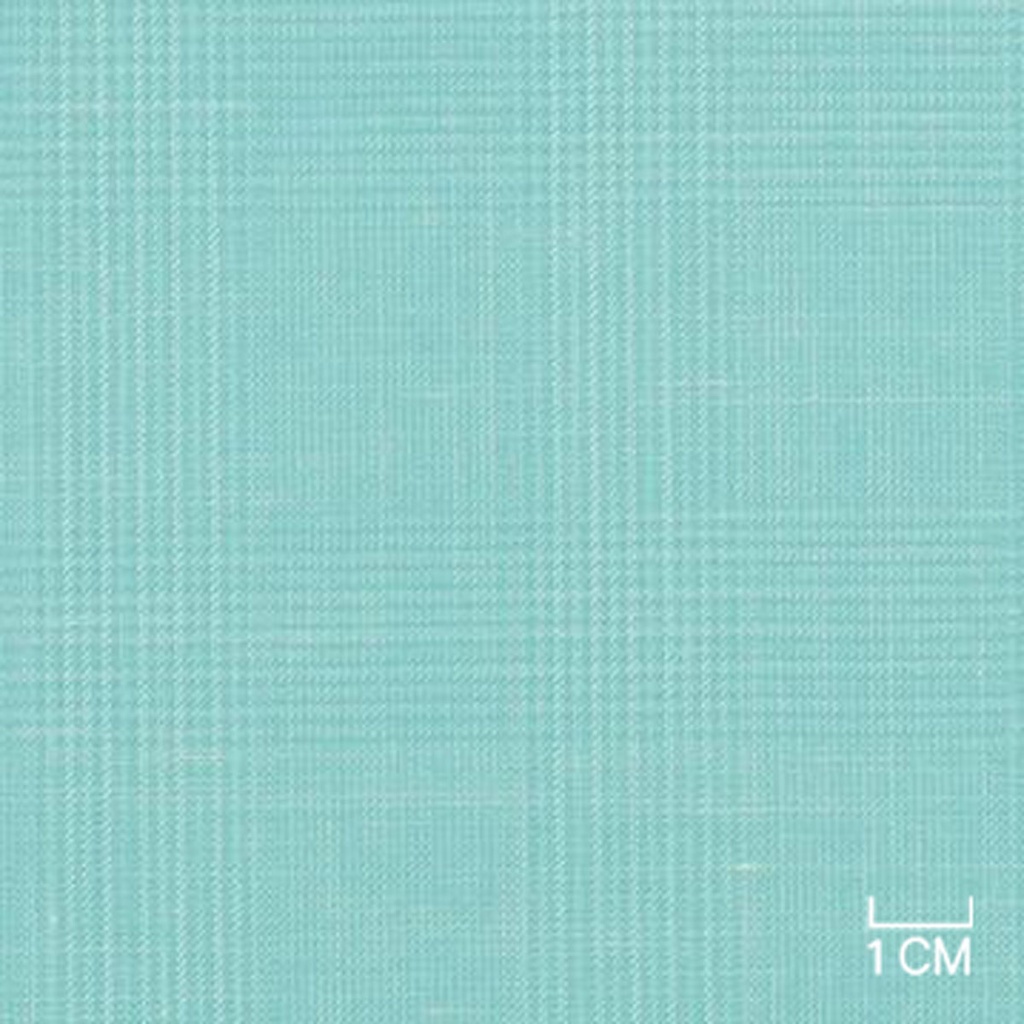 LIGHT GREEN,CHECKS (19/31)