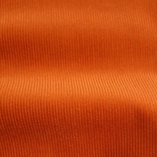 [661937] VL1001
