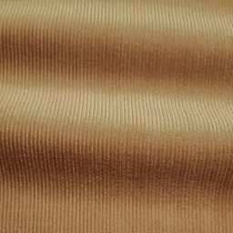 [661945] VL1009