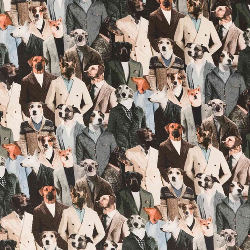 [660401] DOGS IN SUITS