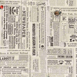 [660403] WHITE, NEWSPAPER AND INSECTS