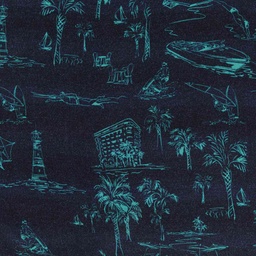 [660443] DARK BLUE, BEACH