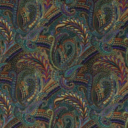 [660544] COLORFUL PAISLEY