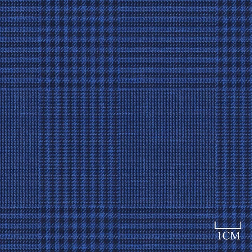 [451934] BLUE, CHECKS