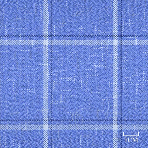 [451937] BLUE, CHECKS