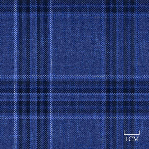 [451944] BLUE, CHECKS