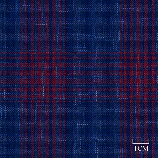 [451948] BLUE, RED CHECKS