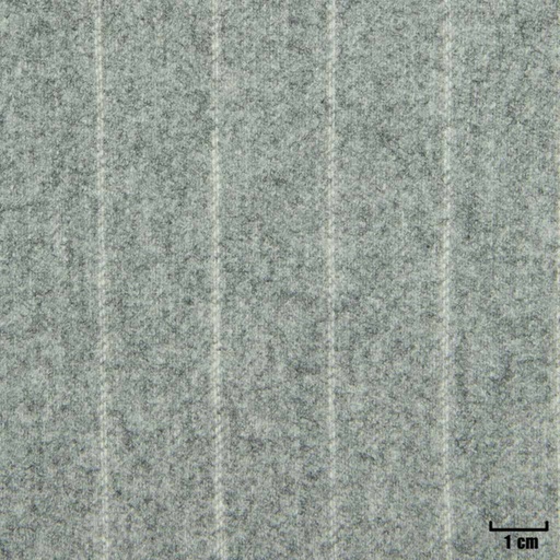 [229245] LIGHT GREY, OFF WHITE STRIPES