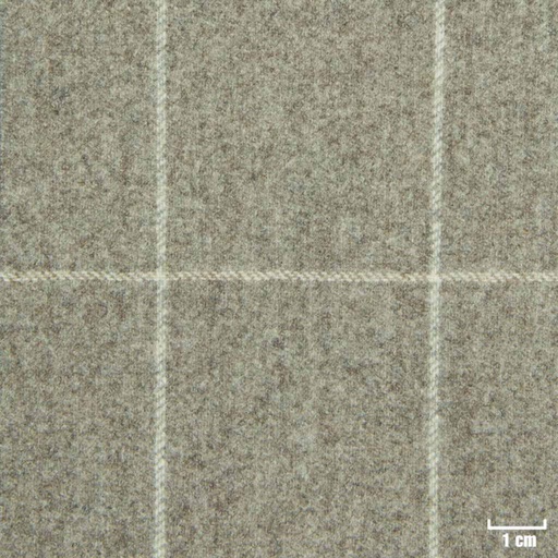 [229254] TAN, OFF WHITE CHECKS