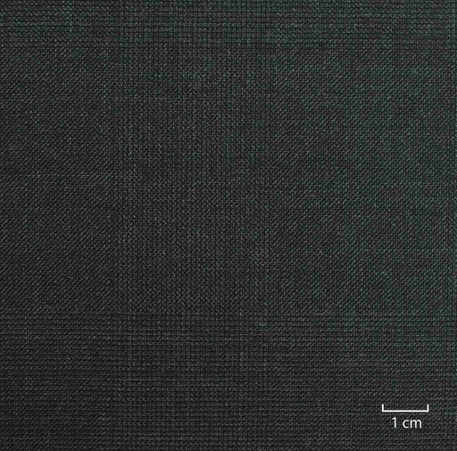 [503120] CHARCOAL, CHECKS