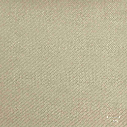 [503158] TAN, PLAIN