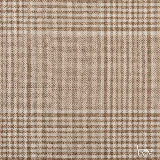 [452019] BROWN,CHECKS