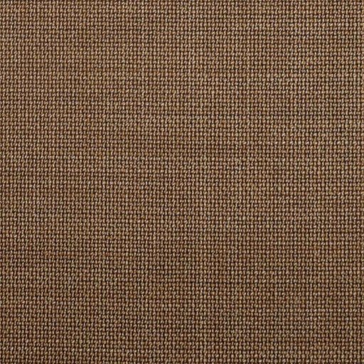 [452048] BROWN,PLAIN