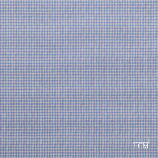 [701817] BLUE, CHECKS