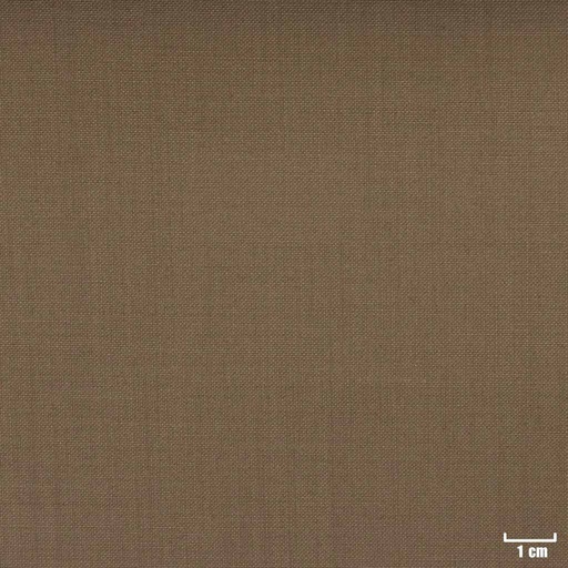 [354206] OLIVE, PLAIN (ST# 24035)