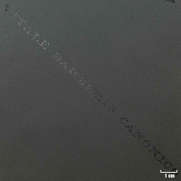 [80854] GREY, PLAIN