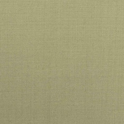 [107681] TAN, PLAIN