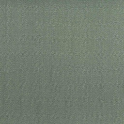 [501773] DARK GREEN, PLAIN