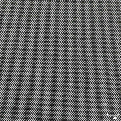 [270372] GREY, BIRDEYE