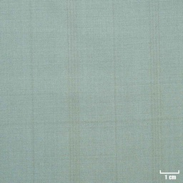 [501618] OLIVE, CHECKS