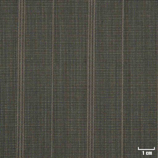 [501662] BROWN, STRIPES