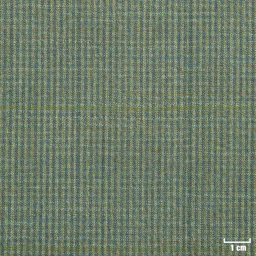 [66993] OLIVE, CHECKS