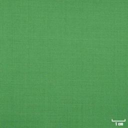 [107660] GREEN, PLAIN