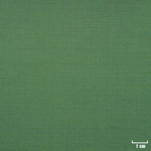 [69728] GREEN, PLAIN