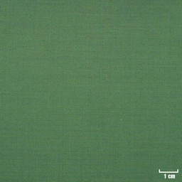 [107662] GREEN, PLAIN