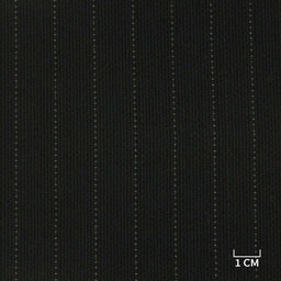 [810533] FABRIC