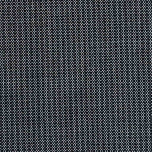 [79653] LIGHT GREY, BIRDEYE