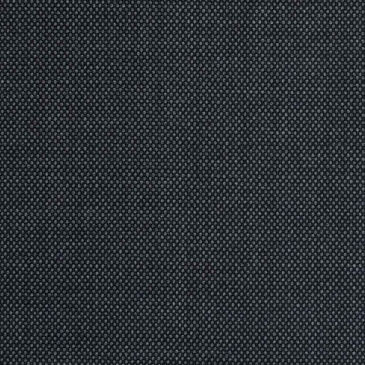 [223346] GREY, BIRDEYE