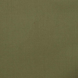 [224440] DARK KHAKI, PLAIN