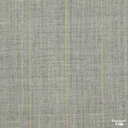 [501640] OLIVE, STRIPES