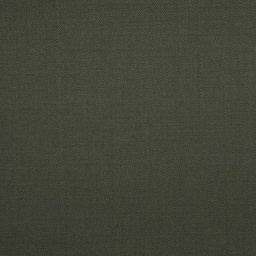 [209666] GREEN, PLAIN