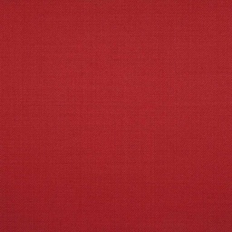 [209670] RED,PLAIN