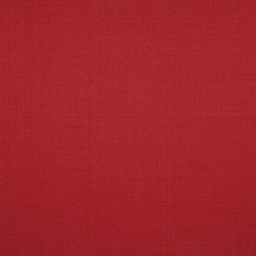 [501392] RED,PLAIN