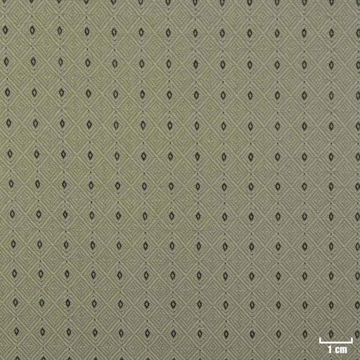 [103003] GREEN, BLACK DOTTED PATTERN