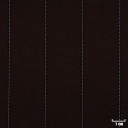 [271338] BROWN, BLUE STRIPES