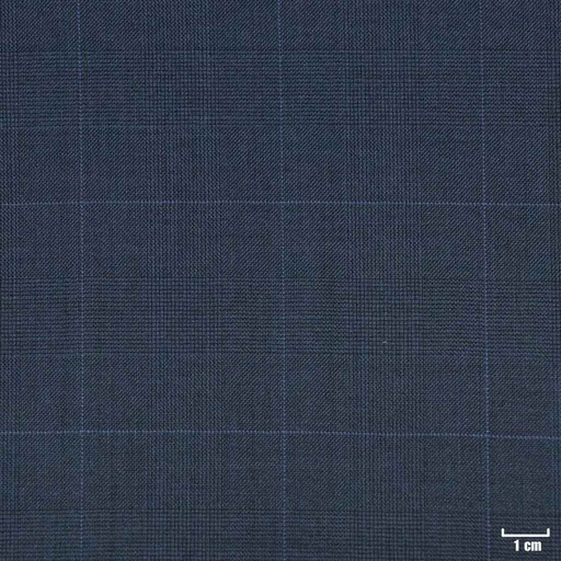 [210835] BLUE, CHECKS