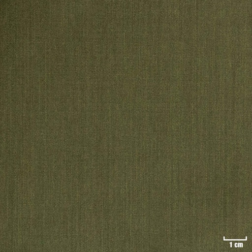 [79784] GREEN, PLAIN
