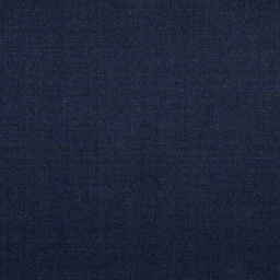 [501389] BLUE,PLAIN
