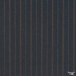 [210411] BLUE, BROWN STRIPES