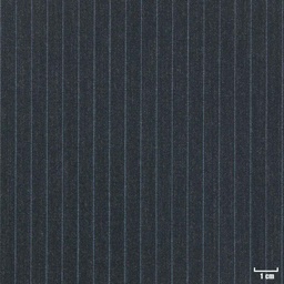 [210427] BLACK, BLUE STRIPES