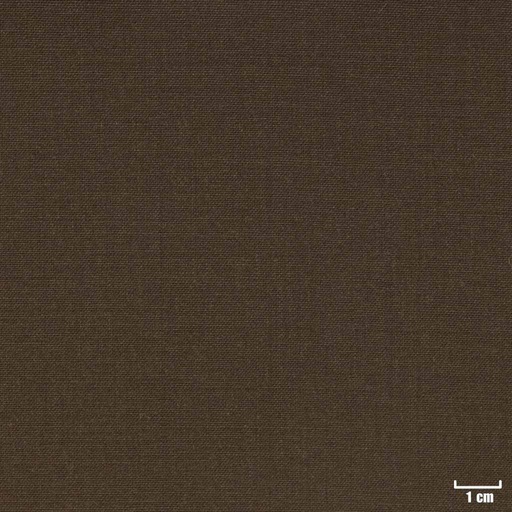 [105666] BROWN, PLAIN