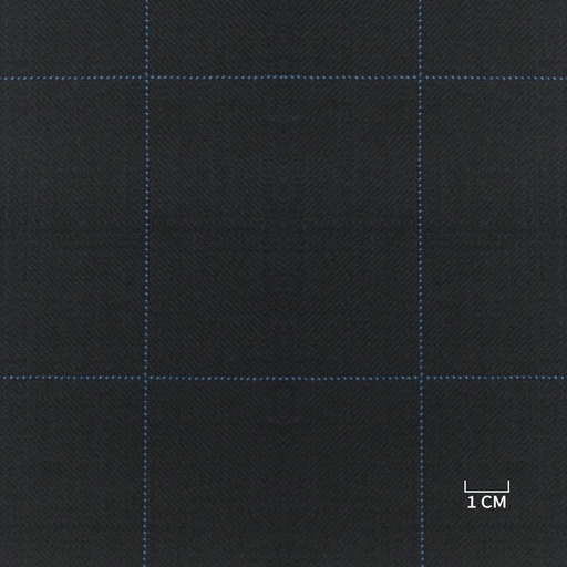 [810219] BLUE, BLUE CHECKS